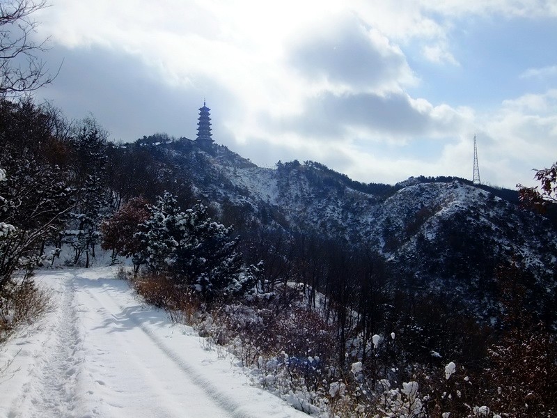 DSCF7109.jpg