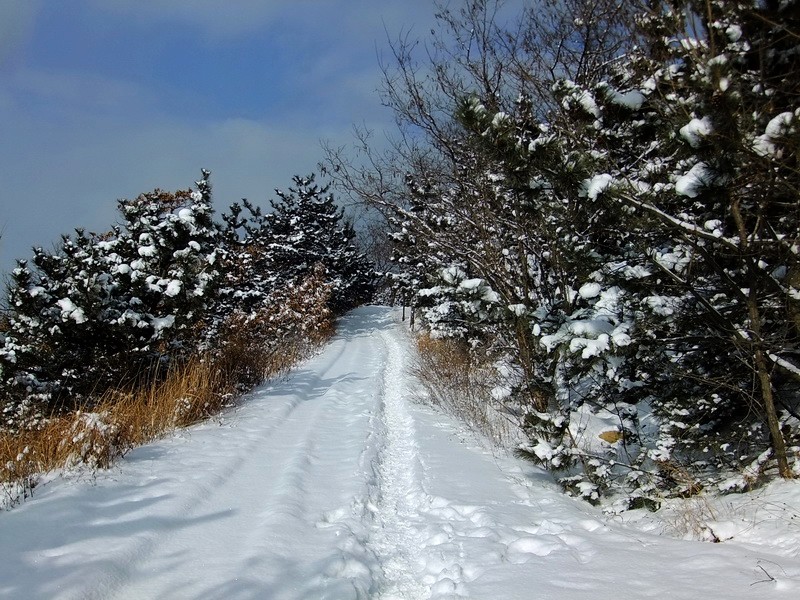 DSCF7112.jpg