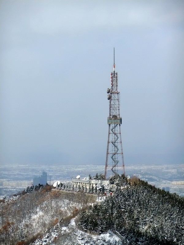 DSCF7119.jpg