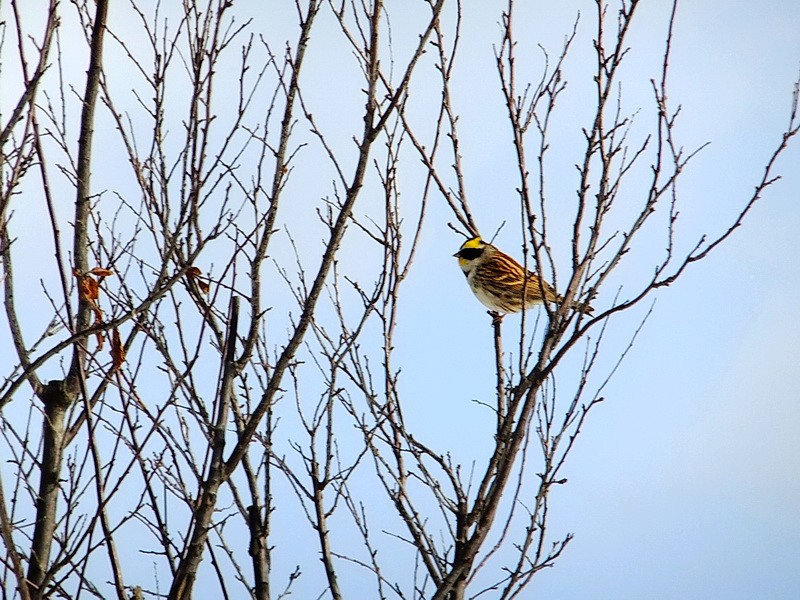 DSCF7134.jpg
