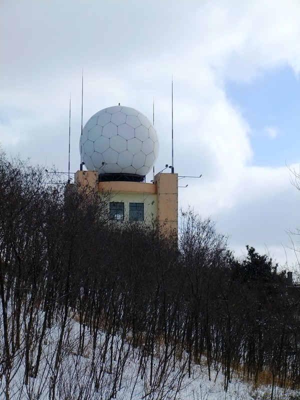 DSCF7167.jpg