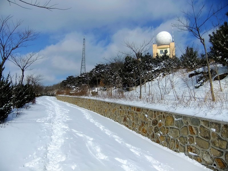 DSCF7174.jpg