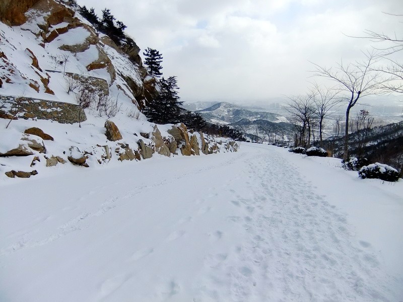 DSCF7226.jpg