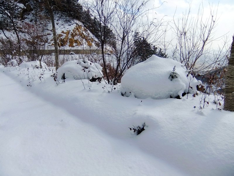 DSCF7235.jpg