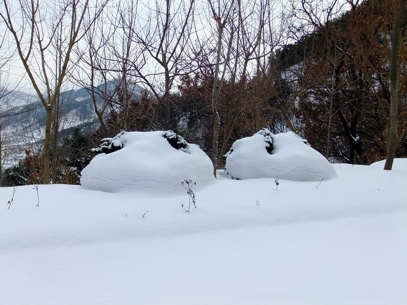 DSCF7275.jpg