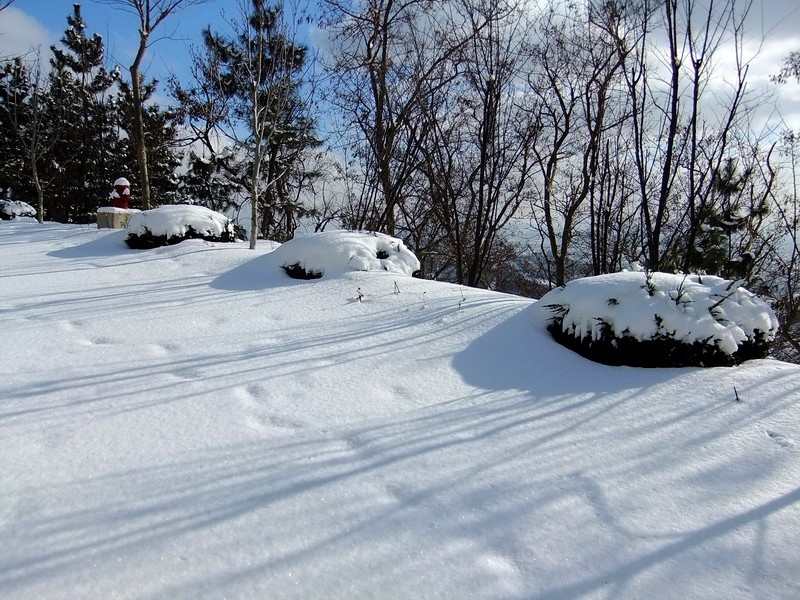 DSCF7344.jpg