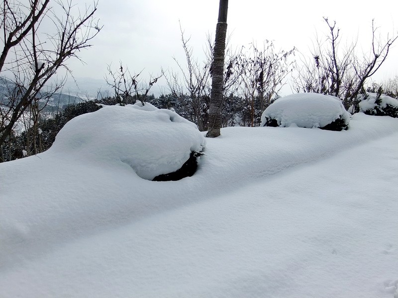 DSCF7246.jpg