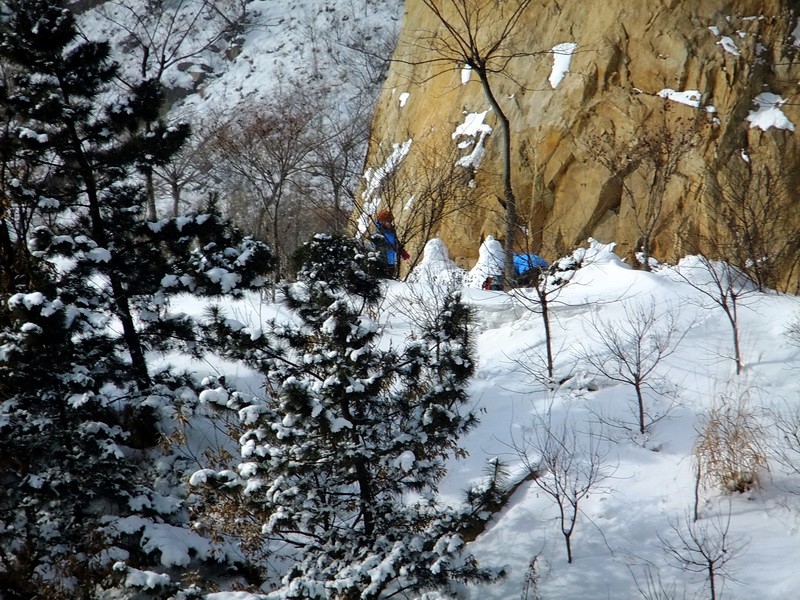 DSCF7237.jpg
