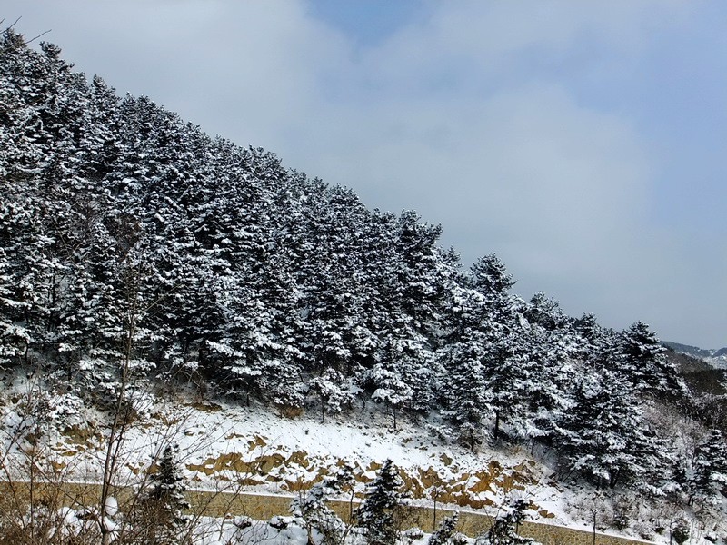 DSCF7244.jpg