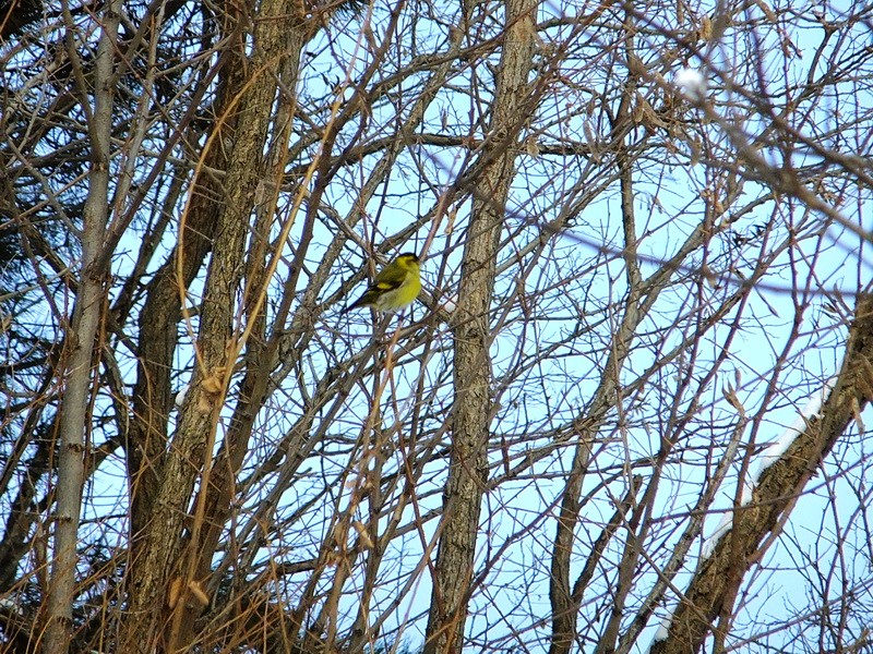 DSCF7258.jpg