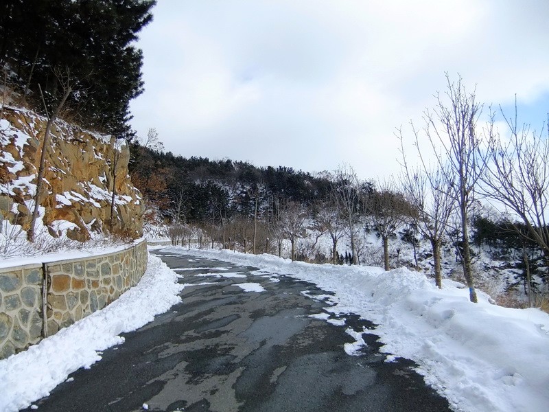 DSCF7279.jpg