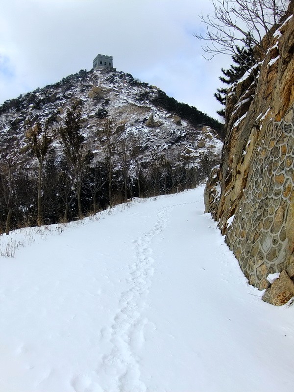 DSCF7284.jpg