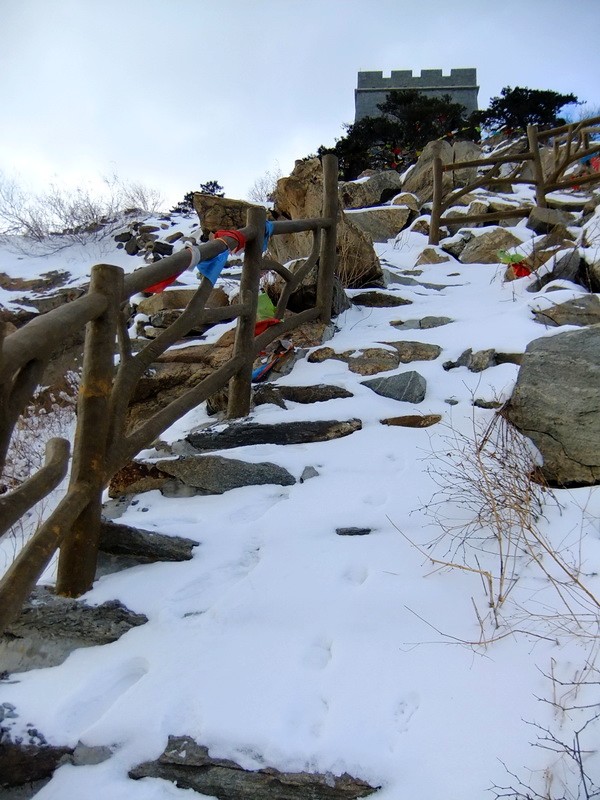 DSCF7291.jpg