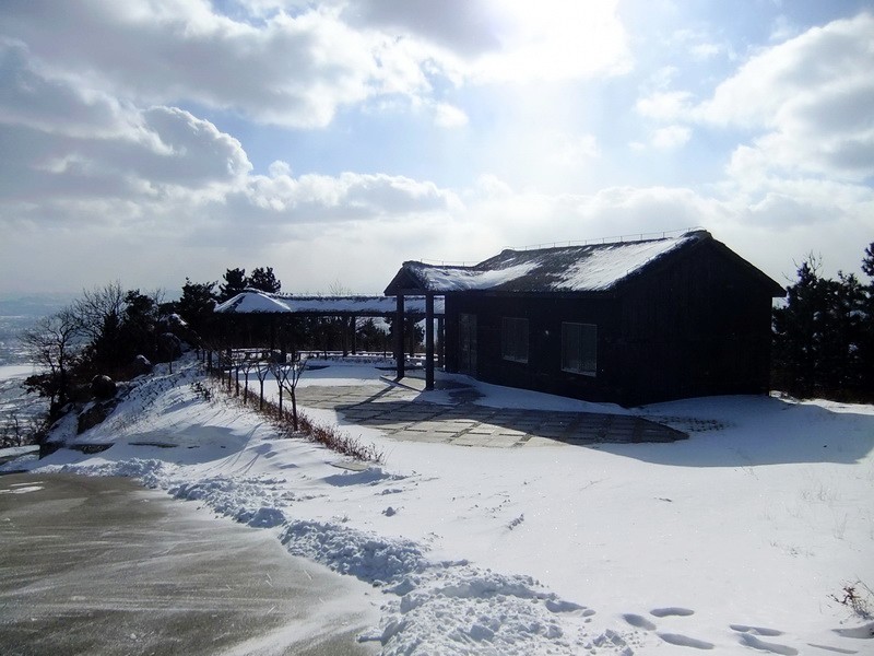 DSCF7341.jpg