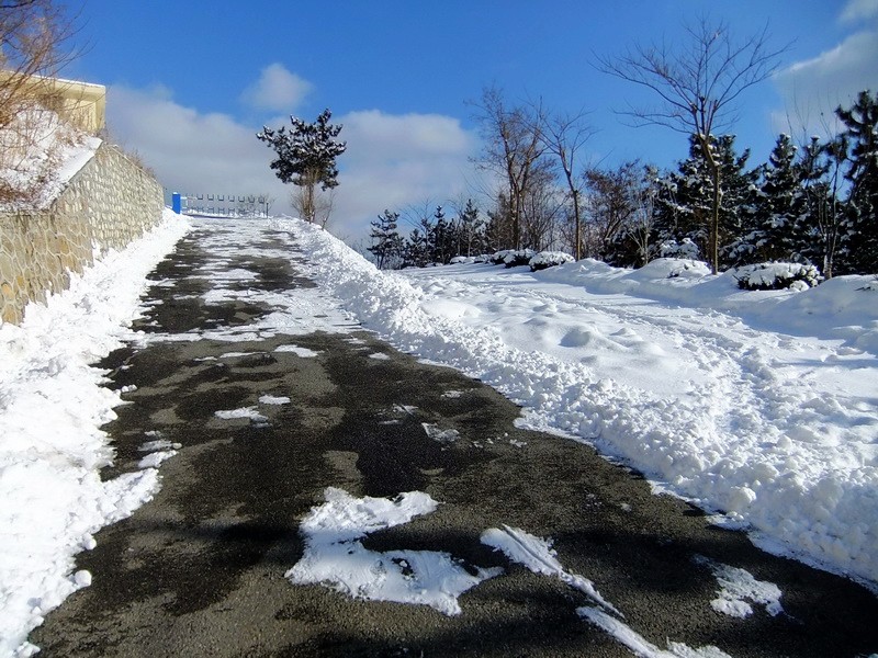 DSCF7343.jpg