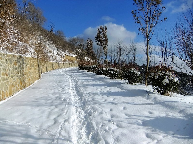 DSCF7345.jpg