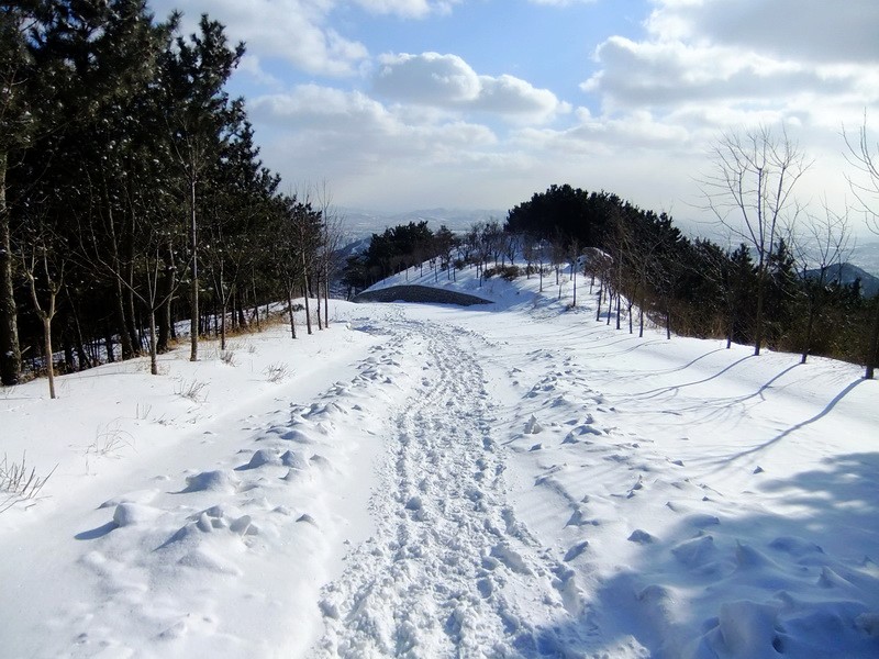 DSCF7346.jpg