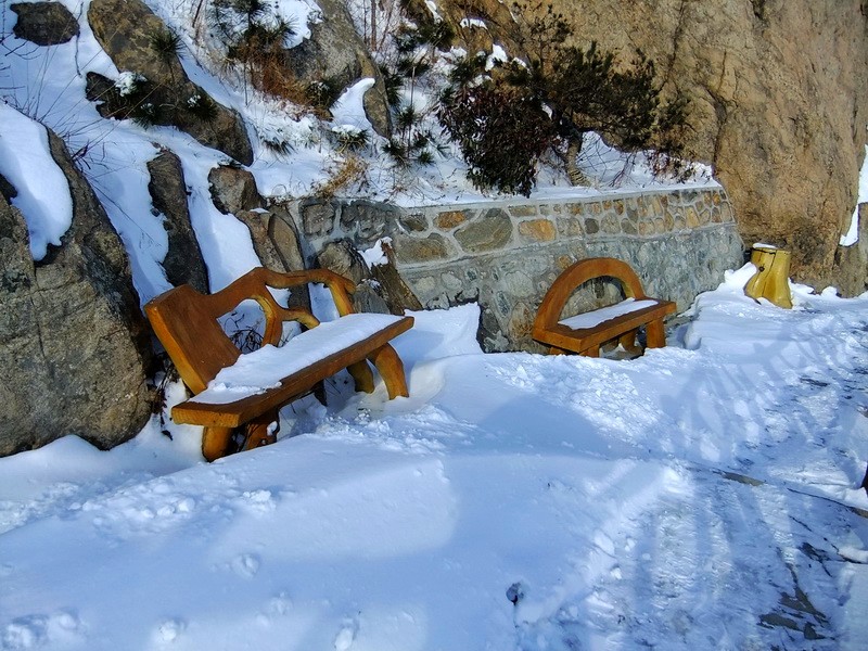 DSCF7353.jpg