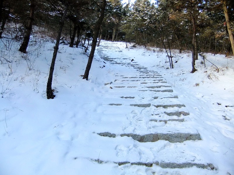 DSCF7385.jpg