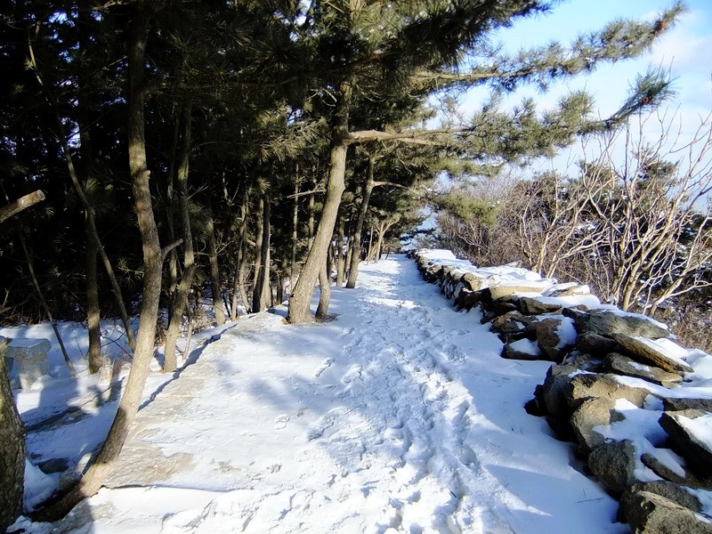 DSCF7382.jpg