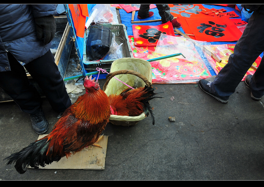 DSC_3381.jpg