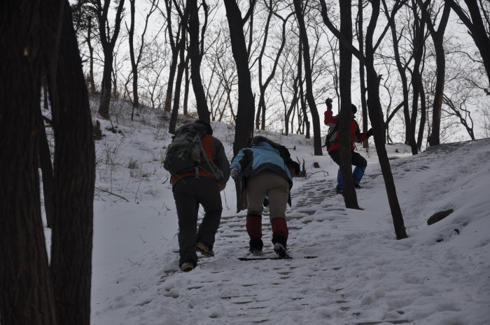 DSC_3708.JPG