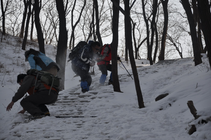 DSC_3712.JPG