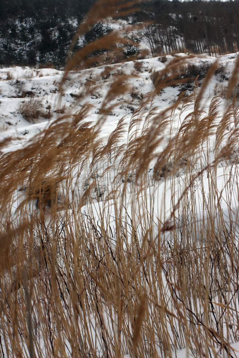 IMG_2780.JPG