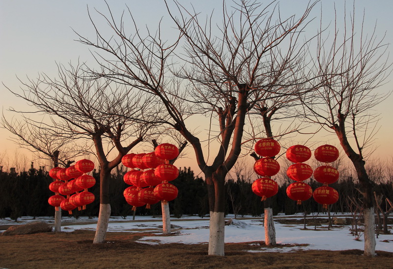 春节灯笼 030-011-02.jpg
