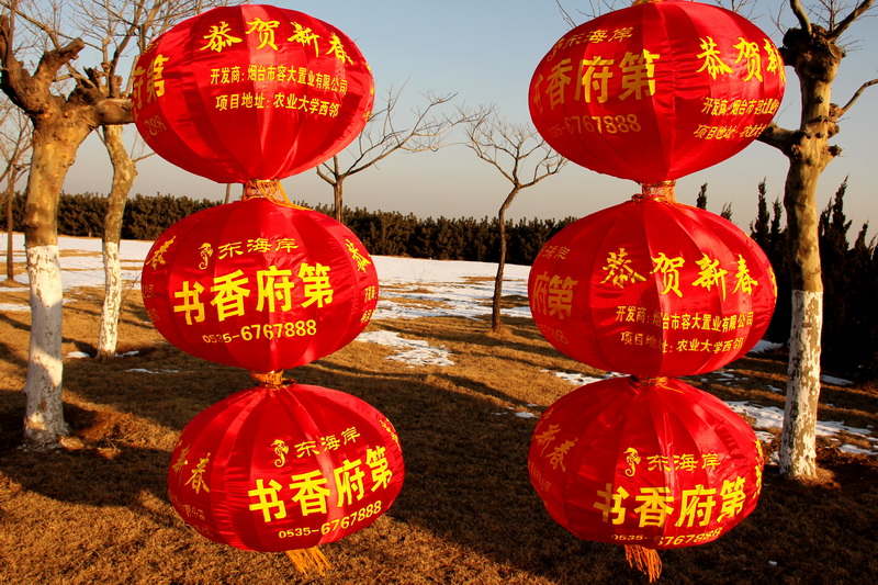 春节灯笼 100-01-02.jpg