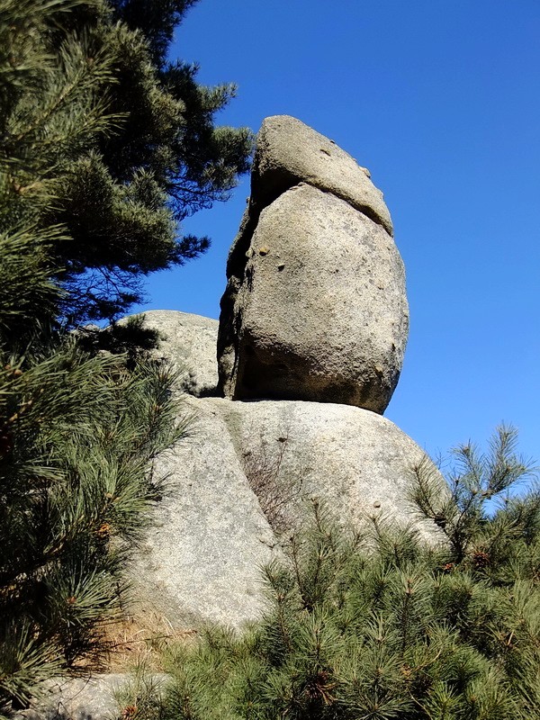 DSCF7694.jpg