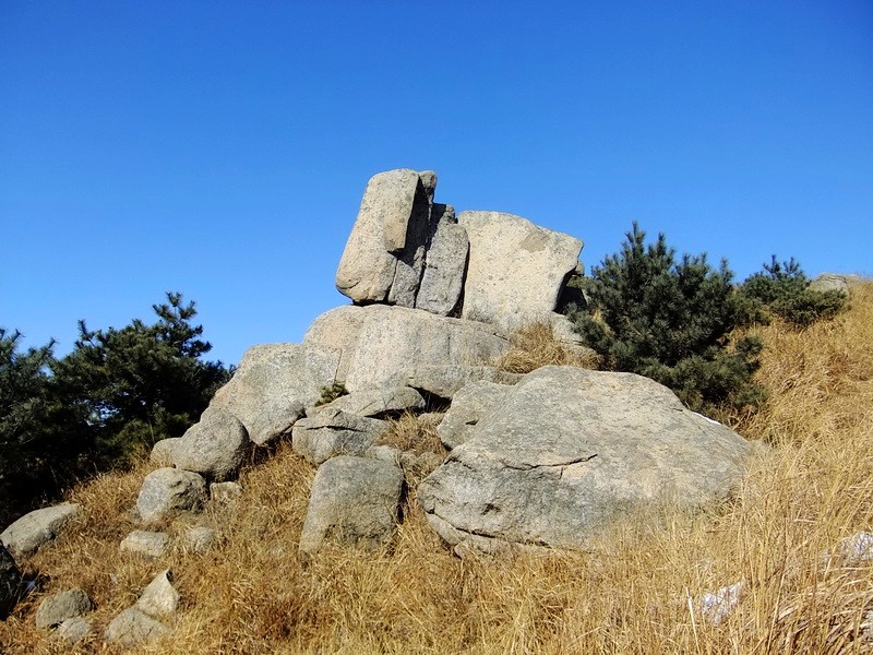 DSCF7699.jpg