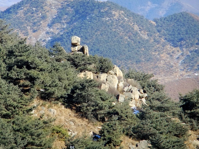 DSCF7720.jpg