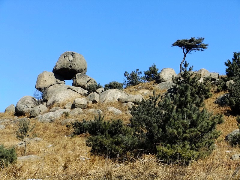 DSCF7684.jpg