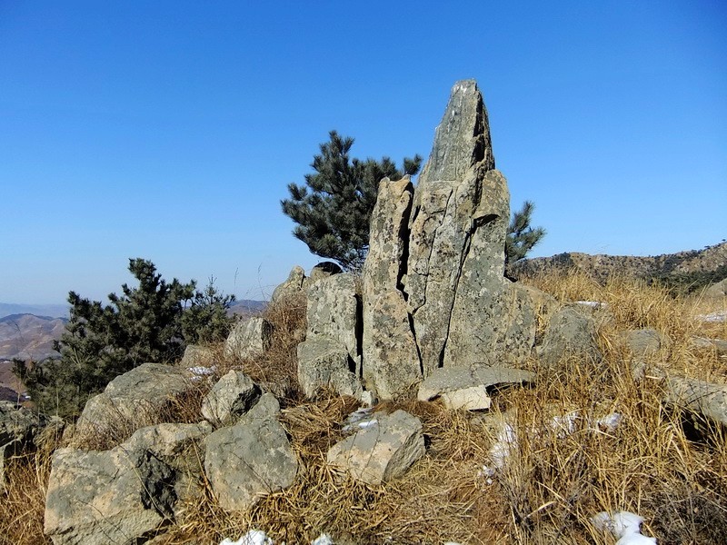 DSCF7767.jpg