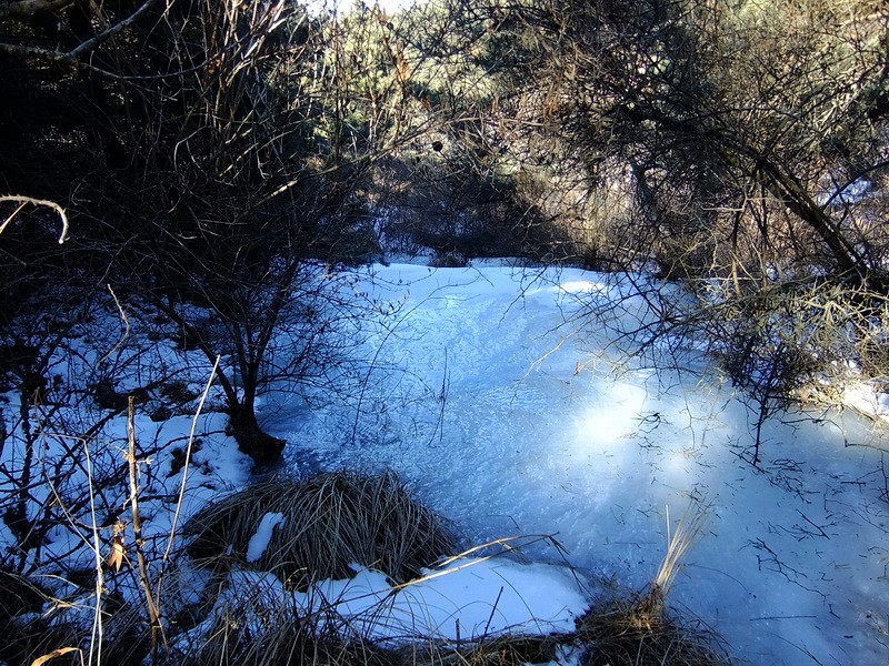 DSCF7773.jpg