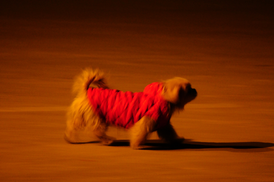 DSC_0341.jpg