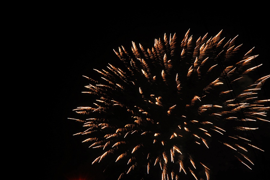 DSC_0932.jpg