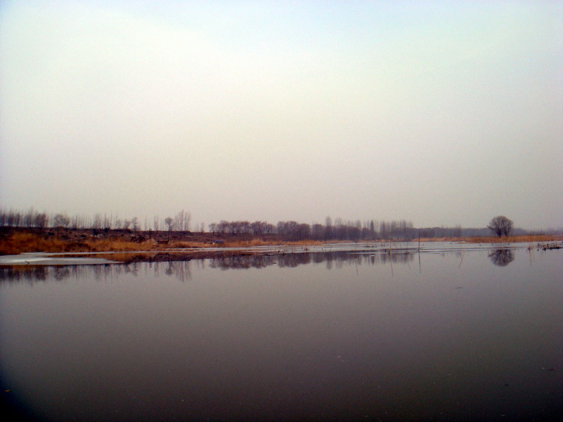 01113.jpg
