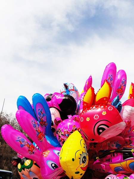 DSC08085.JPG