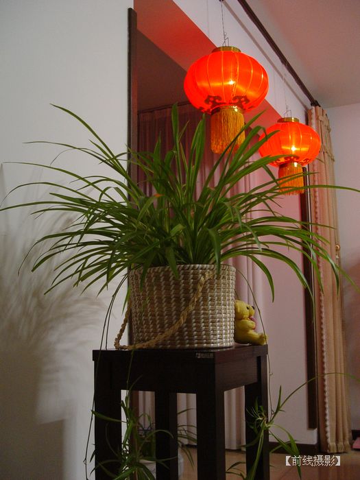 DSC08305-1.jpg