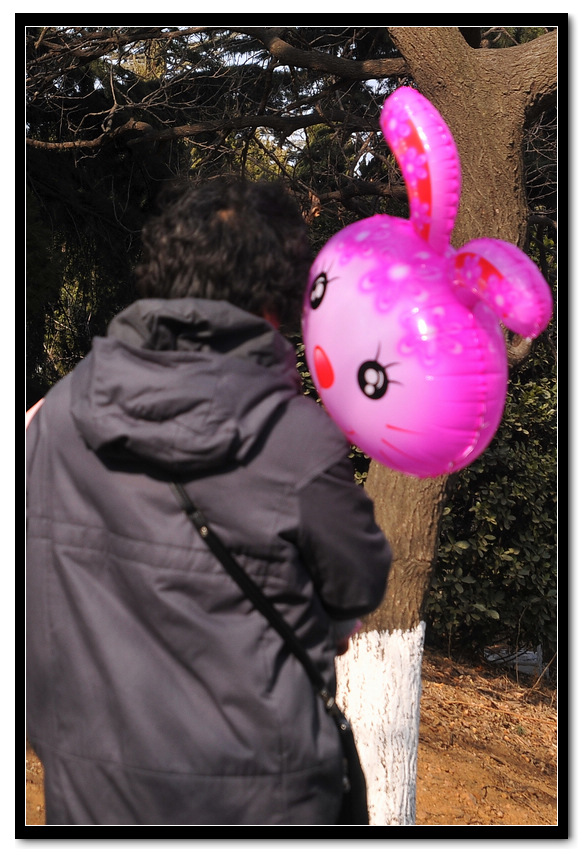 ABC_4549.jpg