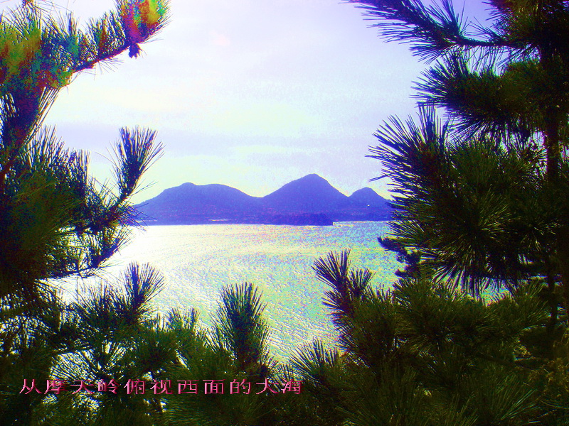 009.jpg