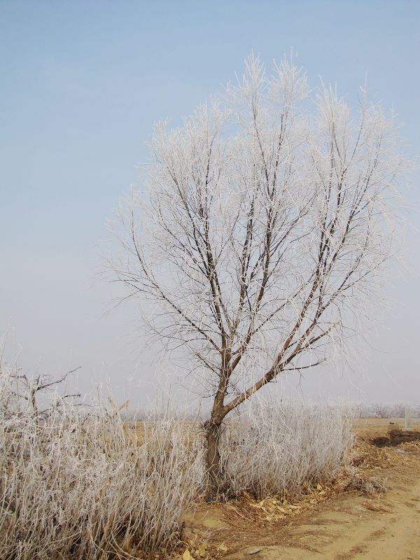 路边1.jpg