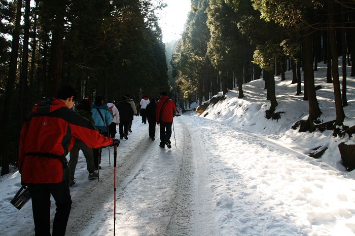 nEO_IMG_庐山龙虎山黄山游2011.初一--初五 027.jpg