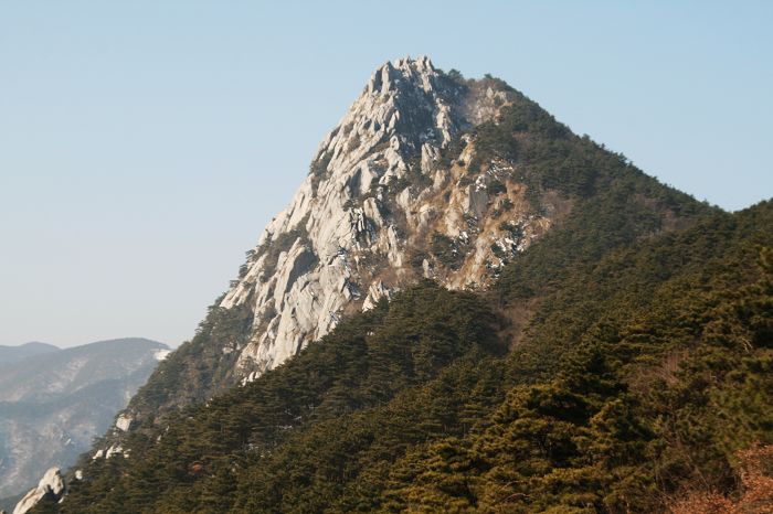 nEO_IMG_庐山龙虎山黄山游2011.初一--初五 033.jpg