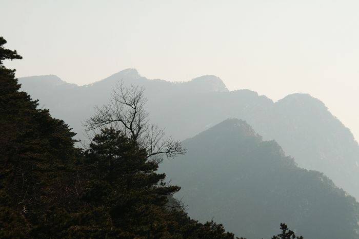 nEO_IMG_庐山龙虎山黄山游2011.初一--初五 034.jpg
