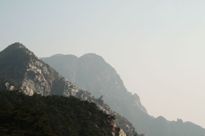 nEO_IMG_庐山龙虎山黄山游2011.初一--初五 104.jpg