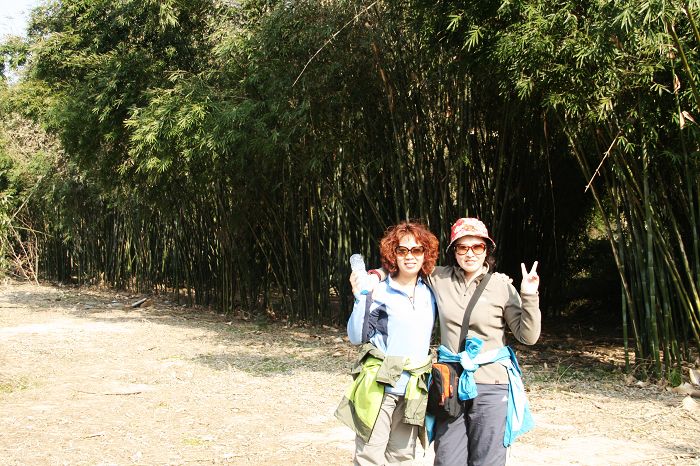 nEO_IMG_庐山龙虎山黄山游2011.初一--初五 425.jpg