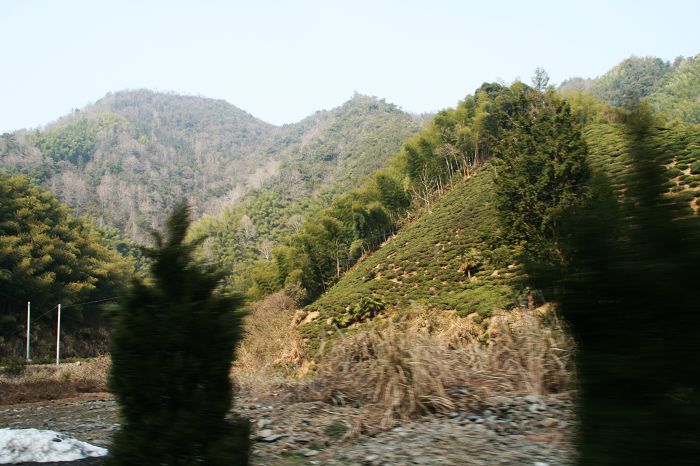 nEO_IMG_庐山龙虎山黄山游2011.初一--初五 507.jpg